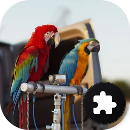 Ícone de Parrot Jigsaw Puzzle